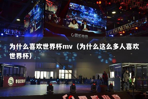 為什么喜歡世界杯mv（為什么這么多人喜歡世界杯）