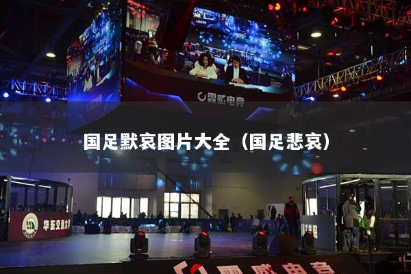 國(guó)足默哀圖片大全（國(guó)足悲哀）