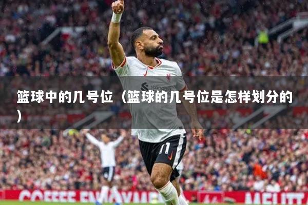 籃球中的幾號(hào)位(籃球的幾號(hào)位是怎樣劃分的)