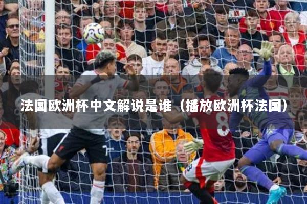 法國歐洲杯中文解說是誰（播放歐洲杯法國）
