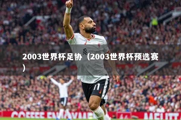 2003世界杯足協(xié)（2003世界杯預(yù)選賽）