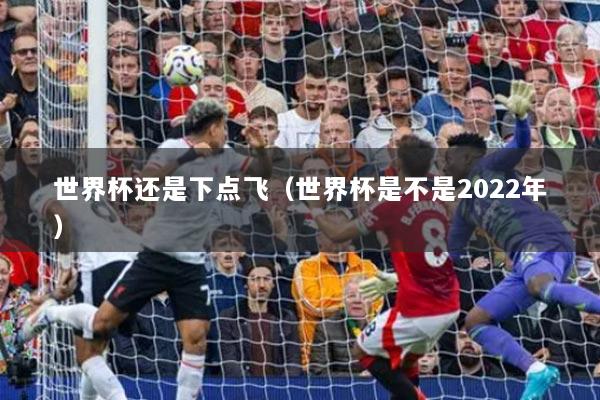 世界杯還是下點(diǎn)飛(世界杯是不是2022年)