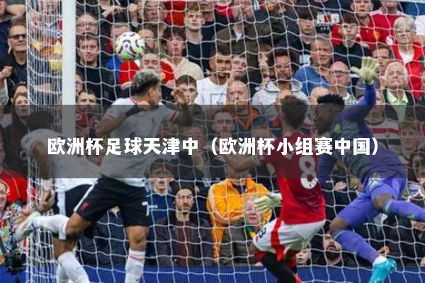 歐洲杯足球天津中（歐洲杯小組賽中國(guó)）