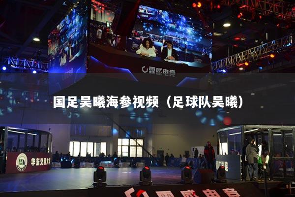 國(guó)足吳曦海參視頻（足球隊(duì)吳曦）