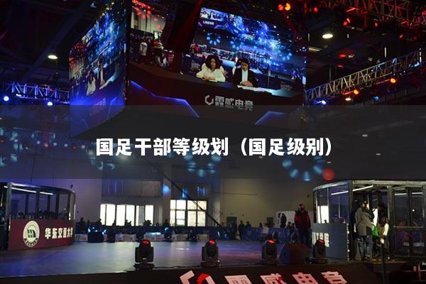 國足干部等級劃（國足級別）