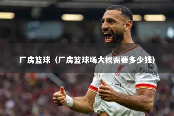 廠房籃球（廠房籃球場(chǎng)大概需要多少錢）