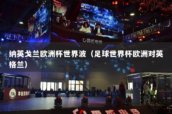 納英戈蘭歐洲杯世界波（足球世界杯歐洲對(duì)英格蘭）