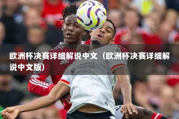 歐洲杯決賽詳細解說中文（歐洲杯決賽詳細解說中文版）