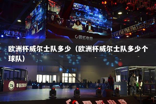 歐洲杯威爾士隊多少（歐洲杯威爾士隊多少個球隊）