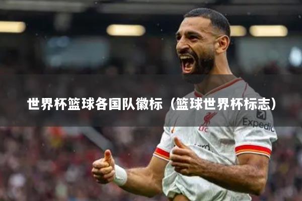 世界杯籃球各國(guó)隊(duì)徽標(biāo)（籃球世界杯標(biāo)志）