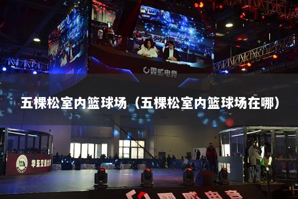 五棵松室內(nèi)籃球場(chǎng)（五棵松室內(nèi)籃球場(chǎng)在哪）