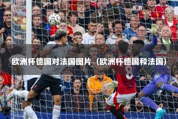 歐洲杯德國(guó)對(duì)法國(guó)圖片（歐洲杯德國(guó)和法國(guó)）